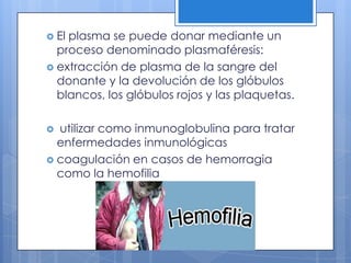  El plasma se puede donar mediante un
proceso denominado plasmaféresis:
 extracción de plasma de la sangre del
donante y la devolución de los glóbulos
blancos, los glóbulos rojos y las plaquetas.
 utilizar como inmunoglobulina para tratar
enfermedades inmunológicas
 coagulación en casos de hemorragia
como la hemofilia
 