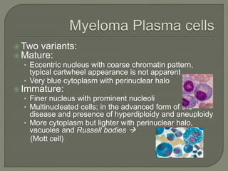  Two variants:
 Mature:
• Eccentric nucleus with coarse chromatin pattern,
typical cartwheel appearance is not apparent
• Very blue cytoplasm with perinuclear halo
 Immature:
• Finer nucleus with prominent nucleoli
• Multinucleated cells; in the advanced form of the
disease and presence of hyperdiploidy and aneuploidy
• More cytoplasm but lighter with perinuclear halo,
vacuoles and Russell bodies 
(Mott cell)
 