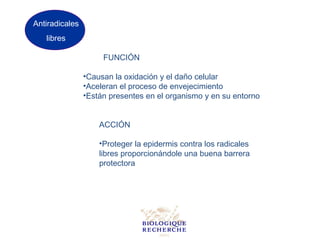 Antiradicales
   libres

                     FUNCIÓN

                •Causan la oxidación y el daño celular
                •Aceleran el proceso de envejecimiento
                •Están presentes en el organismo y en su entorno


                    ACCIÓN

                    •Proteger la epidermis contra los radicales
                    libres proporcionándole una buena barrera
                    protectora
 