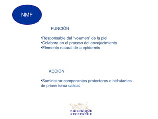 NMF

           FUNCIÓN

      •Responsable del “volumen” de la piel
      •Colabora en el proceso del envejecimiento
      •Elemento natural de la epidermis




          ACCIÓN

      •Suministrar componentes protectores e hidratantes
      de primerísima calidad
 