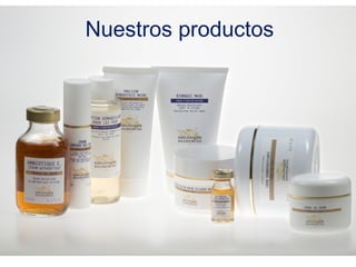 Nuestros productos
 