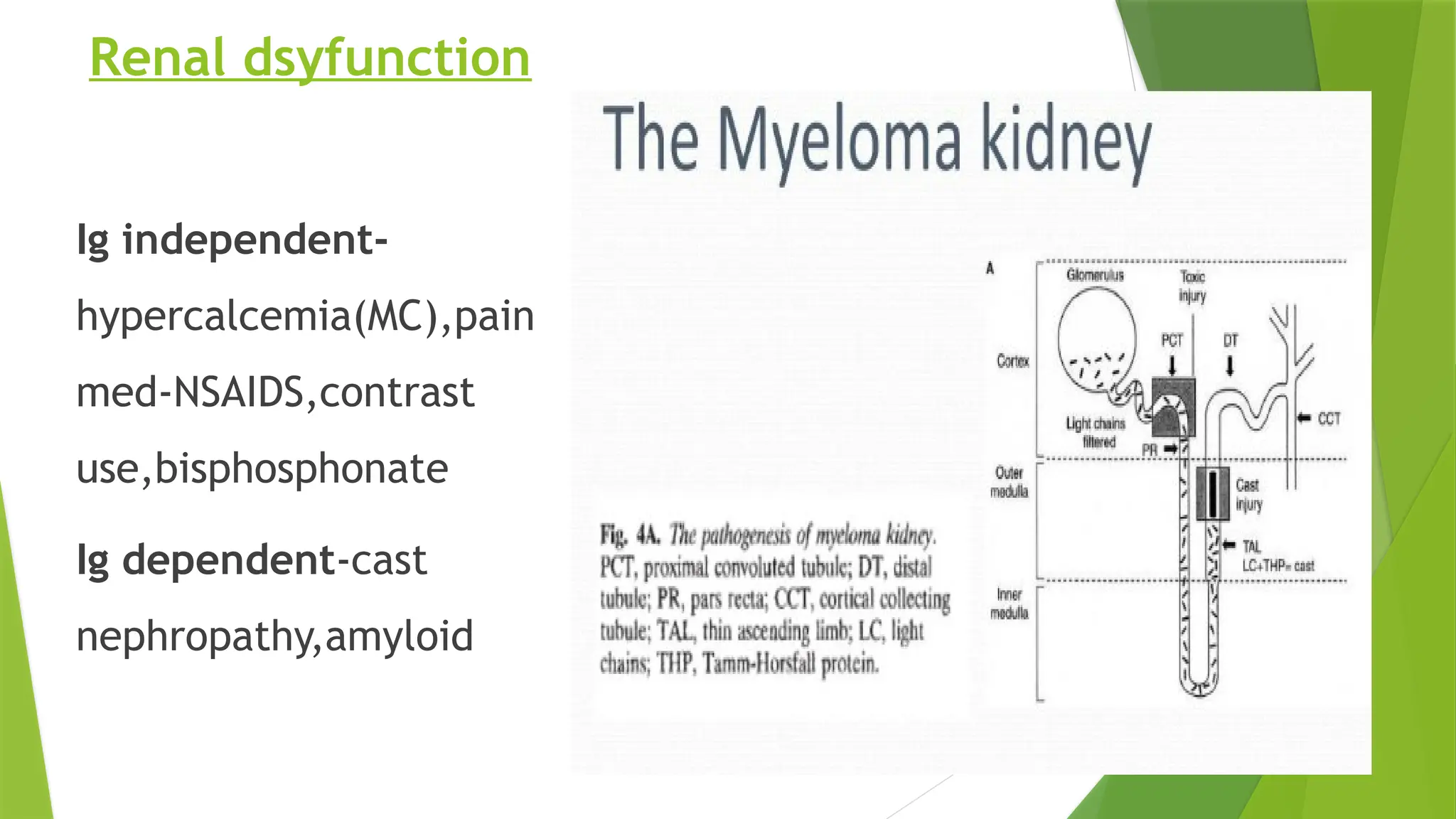Renal dsyfunction
Ig independent-
hypercalcemia(MC),pain
med-NSAIDS,contrast
use,bisphosphonate
Ig dependent-cast
nephropathy,amyloid
 