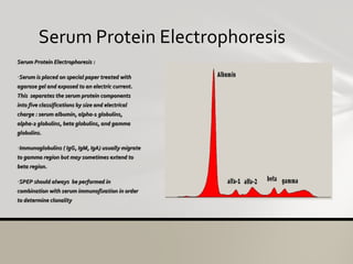 Serum Protein Electrophoresis <ul><li>Serum Protein Electrophoresis : </li></ul><ul><li>Serum is placed on special paper t...