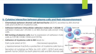 II- Cytokine interaction between plasma cells and their microenvironment:
▪ Chemotaxis between stromal cell derived factor (SCD-F) secreted by BM stromal
cells and CXCR4 on myeloma cells.
▪ Adhesion between intracellular adhesion molecule-1 (ICAM-1) and vascular cell
adhesion molecule1 (VCAM-1) on BM stromal cells and β1 integrin of myeloma
cells.
▪ BM homing of plasma cells due to expression of adhesion molecules on myeloma
cells as CD138, CD38, CD44 and CD106.
▪ Adhesion of myeloma cells to BM leads to:
- Cell cycle arrest at G1. - Decreased apoptosis.
- ↓ topoisomerase II activity e protection of myeloma cells from drugs.
- Secretion of cytokines as TNFα, IL6, IL21, ILGF-1, SCD-F and vascular endothelial
growth factor (VEGF) by both plasma cells and BM stromal cells.
 