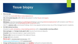  Macroscopy
- Amyloid has a porcelain-like or waxy appearance.
- Site of Amyloid deposits: 60% in BM & also present in other tissues and organs.
 Microscopy
- BM biopsy: vary from revealing no pathological findings to showing extensive replacement with amyloid, overt PCM, or
(rarely) involvement with lymphoplasmacytic lymphoma (LPL).
- Mild ↑ in plasma cells (commonest finding), which may appear normal or show any of the changes found in myeloma.
 On H&E-stained sections,
- Amyloid is a pink, amorphous, waxy-looking substance with a characteristic cracking artifact.
- Macrophages and foreign-body giant cells may be found around deposits.
- Amyloid rarely massively replace organ parenchyma .
- Plasma cells may be increased in the adjacent tissues.
 Congo red stains amyloid:
- Pink to red by standard light microscopy, and
- Apple-green birefringence under polarized light .
 Congo red fluorescence microscopy:more sensitive method for amyloid detection.
Tissue biopsy
 