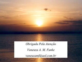 Obrigada Pela Atenção Vaneuza A. M. Funke [email_address] 