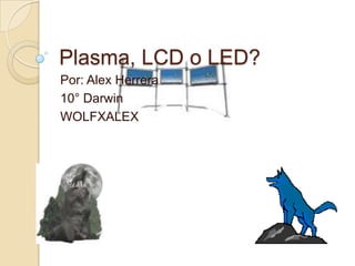 Plasma, LCD o LED? Por: Alex Herrera  10° Darwin WOLFXALEX 