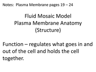 Notes: Plasma Membrane pages 19 – 24
Fluid Mosaic Model
Plasma Membrane Anatomy
(Structure)
Function – regulates what goes in and
out of the cell and holds the cell
together.
 