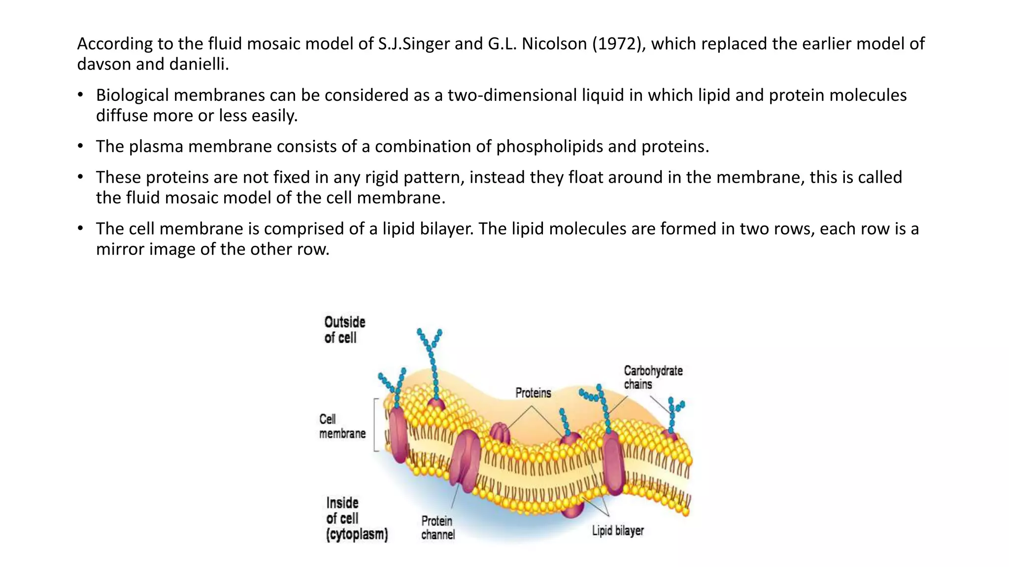 Plasma membrane by Moin Uddin (moin34567@gmail.com) | PPTX