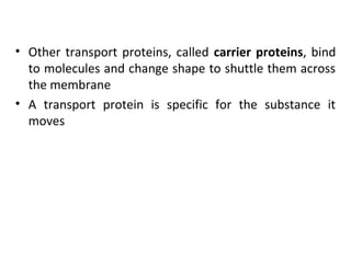 • Other transport proteins, called carrier proteins, bind
to molecules and change shape to shuttle them across
the membrane
• A transport protein is specific for the substance it
moves
 