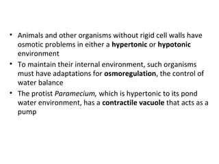 • Animals and other organisms without rigid cell walls have
osmotic problems in either a hypertonic or hypotonic
environment
• To maintain their internal environment, such organisms
must have adaptations for osmoregulation, the control of
water balance
• The protist Paramecium, which is hypertonic to its pond
water environment, has a contractile vacuole that acts as a
pump
 
