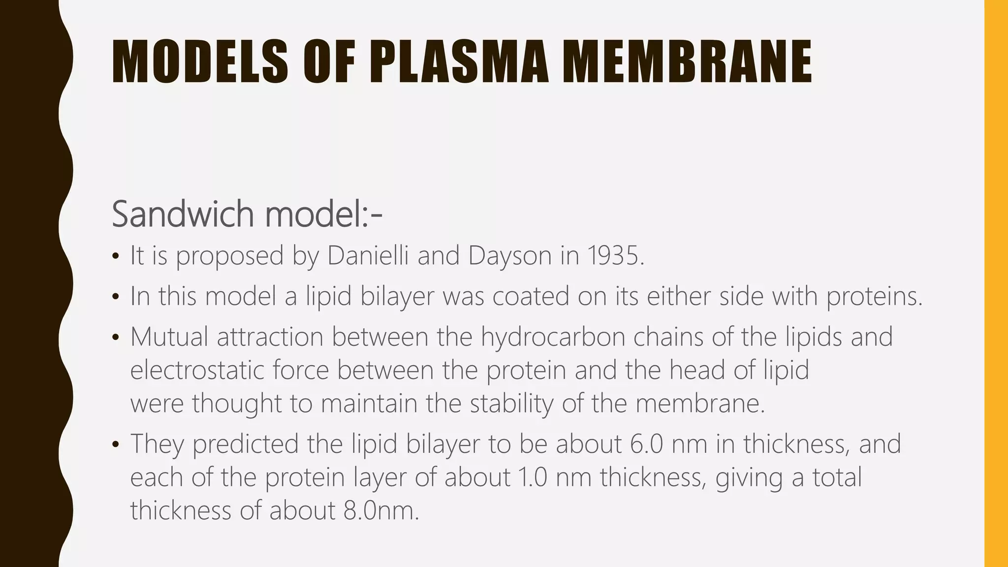 Plasma membrane | PPTX