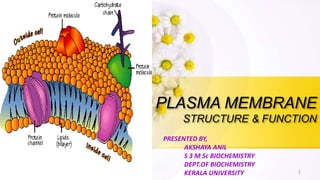 PLASMA MEMBRANE
STRUCTURE & FUNCTION
PRESENTED BY,
AKSHAYA ANIL
S 3 M Sc BIOCHEMISTRY
DEPT.OF BIOCHEMISTRY
KERALA UNIVERSITY 1
 