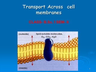AS Biology, Cell membranes and
Transport 1
Transport Across cell
membranes
CLASS- B.Sc. I SEM- II
 