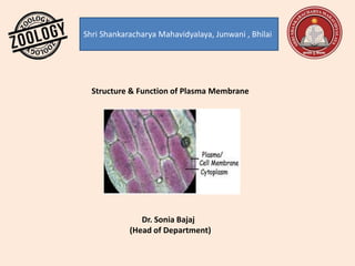 Shri Shankaracharya Mahavidyalaya, Junwani , Bhilai
Structure & Function of Plasma Membrane
Dr. Sonia Bajaj
(Head of Department)
 