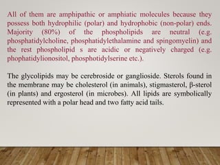 All of them are amphipathic or amphiatic molecules because they
possess both hydrophilic (polar) and hydrophobic (non-polar) ends.
Majority (80%) of the phospholipids are neutral (e.g.
phosphatidylcholine, phosphatidylethalamine and spingomyelin) and
the rest phospholipid s are acidic or negatively charged (e.g.
phophatidylionositol, phosphotidylserine etc.).
The glycolipids may be cerebroside or ganglioside. Sterols found in
the membrane may be cholesterol (in animals), stigmasterol, β-sterol
(in plants) and ergosterol (in microbes). All lipids are symbolically
represented with a polar head and two fatty acid tails.
 