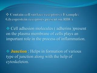  Cell adhesion molecules ( adherins )present
on the plasma membrane of cells plays an
important role in the process of inflammation.
 Junction : Helps in formation of various
type of junction along with the help of
cytoskeleton.
 