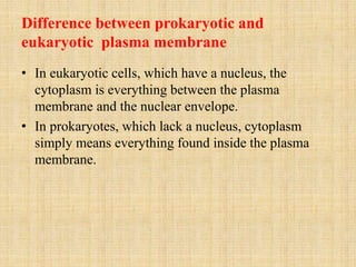 Difference between prokaryotic and
eukaryotic plasma membrane
• In eukaryotic cells, which have a nucleus, the
cytoplasm is everything between the plasma
membrane and the nuclear envelope.
• In prokaryotes, which lack a nucleus, cytoplasm
simply means everything found inside the plasma
membrane.
 