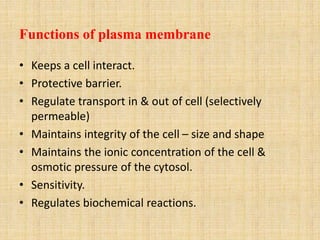 Functions of plasma membrane
• Keeps a cell interact.
• Protective barrier.
• Regulate transport in & out of cell (selectively
permeable)
• Maintains integrity of the cell – size and shape
• Maintains the ionic concentration of the cell &
osmotic pressure of the cytosol.
• Sensitivity.
• Regulates biochemical reactions.
 