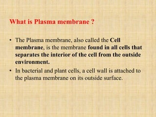 What is Plasma membrane ?
• The Plasma membrane, also called the Cell
membrane, is the membrane found in all cells that
separates the interior of the cell from the outside
environment.
• In bacterial and plant cells, a cell wall is attached to
the plasma membrane on its outside surface.
 