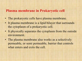 Plasma membrane in Prokaryotic cell
• The prokaryotic cells have plasma membrane.
• It plasma membrane is a lipid bilayer that surrounds
the cytoplasm of a prokaryotic cell.
• It physically separates the cytoplasm from the outside
environment.
• The plasma membrane also works as a selectively
permeable, or semi permeable, barrier that controls
what enters and exits the cell.
 
