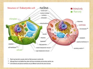 Structure of Eukaryotic cell
 