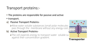 plasmamembrane.pptx
