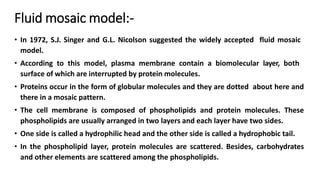 Plasmamembrane pptx plasmamembrane-pptx