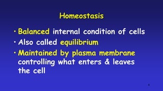 Plasma Membrane or Cell Membrane (Outer Layer in Animal Cells) | PPTX