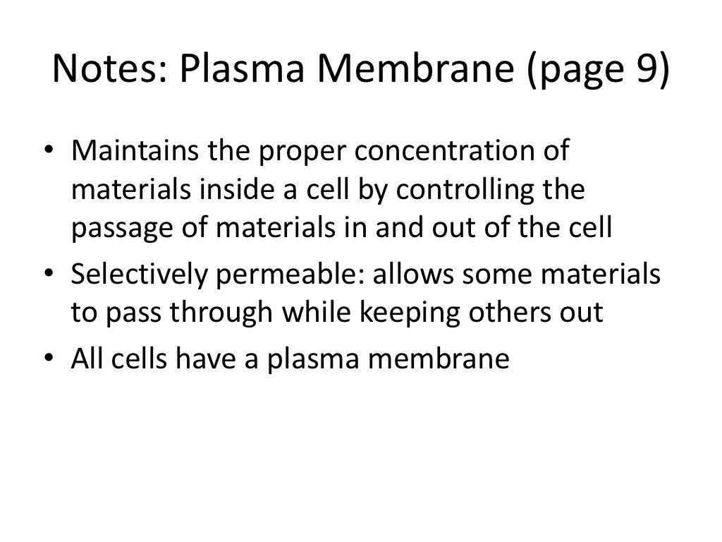 Plasma membrane notes
