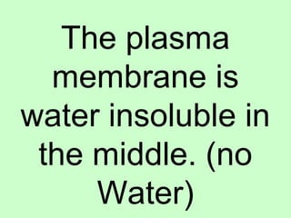 The plasma
membrane is
water insoluble in
the middle. (no
Water)