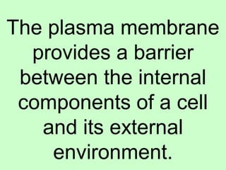 The plasma membrane
provides a barrier
between the internal
components of a cell
and its external
environment.
