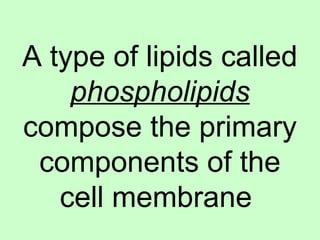 A type of lipids called
phospholipids
compose the primary
components of the
cell membrane