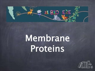 Membrane
Proteins
 