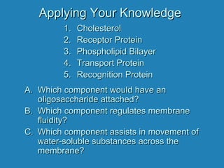 Applying Your KnowledgeApplying Your Knowledge
A.A. Which component would have anWhich component would have an
oligosaccharide attached?oligosaccharide attached?
B.B. Which component regulates membraneWhich component regulates membrane
fluidity?fluidity?
C.C. Which component assists in movement ofWhich component assists in movement of
water-soluble substances across thewater-soluble substances across the
membrane?membrane?
1.1. CholesterolCholesterol
2.2. Receptor ProteinReceptor Protein
3.3. Phospholipid BilayerPhospholipid Bilayer
4.4. Transport ProteinTransport Protein
5.5. Recognition ProteinRecognition Protein
 