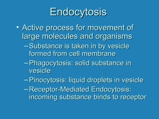 EndocytosisEndocytosis
• Active process for movement ofActive process for movement of
large molecules and organismslarge molecules and organisms
– Substance is taken in by vesicleSubstance is taken in by vesicle
formed from cell membraneformed from cell membrane
– Phagocytosis: solid substance inPhagocytosis: solid substance in
vesiclevesicle
– Pinocytosis: liquid droplets in vesiclePinocytosis: liquid droplets in vesicle
– Receptor-Mediated Endocytosis:Receptor-Mediated Endocytosis:
incoming substance binds to receptorincoming substance binds to receptor
 
