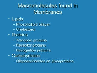 Macromolecules found inMacromolecules found in
MembranesMembranes
• LipidsLipids
– Phospholipid bilayerPhospholipid bilayer
– CholesterolCholesterol
• ProteinsProteins
– Transport proteinsTransport proteins
– Receptor proteinsReceptor proteins
– Recognition proteinsRecognition proteins
• CarbohydratesCarbohydrates
– Oligosaccharides on glycoproteinsOligosaccharides on glycoproteins
 