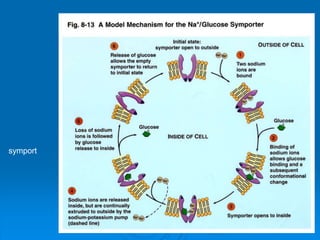 Plasma membrane structure and transport | PPTX