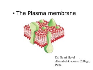 • The Plasma membrane
Dr. Gauri Haval
Abasaheb Garware College,
Pune
 