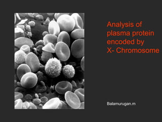 Analysis of plasma protein encoded by X- Chromosome Balamurugan.m 