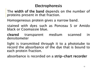 Electrophoresis
The width of the band depends on the number of
proteins present in that fraction.
Homogeneous protein gives a narrow band.
stained with dyes such as Ponceau S or Amido
black or Coomassie blue.
cleared transparent medium scanned in
densitometer
light is transmitted through it to a phototube to
record the absorbance of the dye that is bound to
each protein fraction.
absorbance is recorded on a strip-chart recorder
12
 