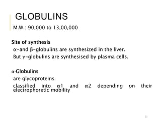GLOBULINS
M.W.: 90,000 to 13,00,000
Site of synthesis
α-and β-globulins are synthesized in the liver.
But γ-globulins are synthesised by plasma cells.
α-Globulins
are glycoproteins
classified into α1 and α2 depending on their
electrophoretic mobility
23
 