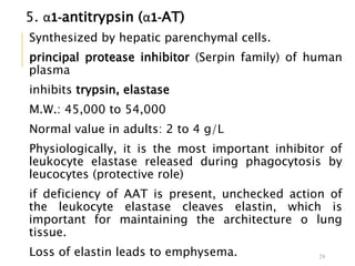 5. α1-antitrypsin (α1-AT)
Synthesized by hepatic parenchymal cells.
principal protease inhibitor (Serpin family) of human
plasma
inhibits trypsin, elastase
M.W.: 45,000 to 54,000
Normal value in adults: 2 to 4 g/L
Physiologically, it is the most important inhibitor of
leukocyte elastase released during phagocytosis by
leucocytes (protective role)
if deficiency of AAT is present, unchecked action of
the leukocyte elastase cleaves elastin, which is
important for maintaining the architecture o lung
tissue.
Loss of elastin leads to emphysema. 29
 