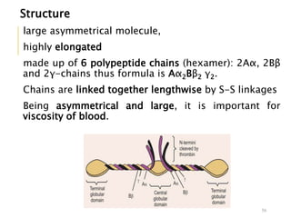 Structure
large asymmetrical molecule,
highly elongated
made up of 6 polypeptide chains (hexamer): 2Aα, 2Bβ
and 2γ-chains thus formula is Aα2Bβ2 γ2.
Chains are linked together lengthwise by S-S linkages
Being asymmetrical and large, it is important for
viscosity of blood.
56
 