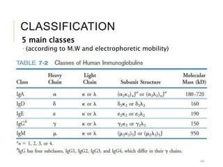 CLASSIFICATION
5 main classes
 (according to M.W and electrophoretic mobility)
60
 