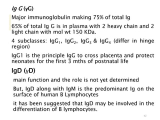 Ig G (γG)
Major immunoglobulin making 75% of total Ig
65% of total Ig G is in plasma with 2 heavy chain and 2
light chain with mol wt 150 KDa.
4 subclasses: IgG1, IgG2, IgG3 & IgG4 (differ in hinge
region)
IgG1 is the principle IgG to cross placenta and protect
neonates for the first 3 mths of postnatal life
IgD (γD)
main function and the role is not yet determined
But, IgD along with IgM is the predominant Ig on the
surface of human B Lymphocytes
it has been suggested that IgD may be involved in the
differentiation of B lymphocytes.
62
 