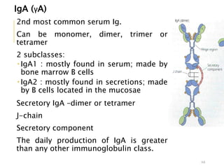 IgA (γA)
2nd most common serum Ig.
Can be monomer, dimer, trimer or
tetramer
2 subclasses:
 IgA1 : mostly found in serum; made by
bone marrow B cells
 IgA2 : mostly found in secretions; made
by B cells located in the mucosae
Secretory IgA –dimer or tetramer
J-chain
Secretory component
The daily production of IgA is greater
than any other immunoglobulin class.
64
 