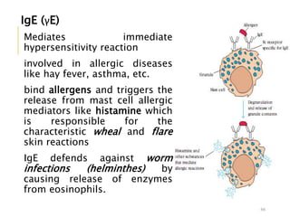 IgE (γE)
Mediates immediate
hypersensitivity reaction
involved in allergic diseases
like hay fever, asthma, etc.
bind allergens and triggers the
release from mast cell allergic
mediators like histamine which
is responsible for the
characteristic wheal and flare
skin reactions
IgE defends against worm
infections (helminthes) by
causing release of enzymes
from eosinophils.
66
 