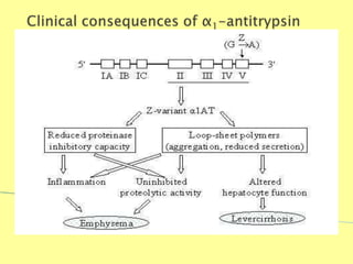 Biochemistry For Medics 7/11/2012 33
 