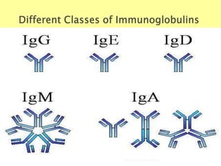 Biochemistry For Medics
 